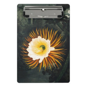Mini Prancheta Cereus Noturno Antigo Florindo Arte Gótico