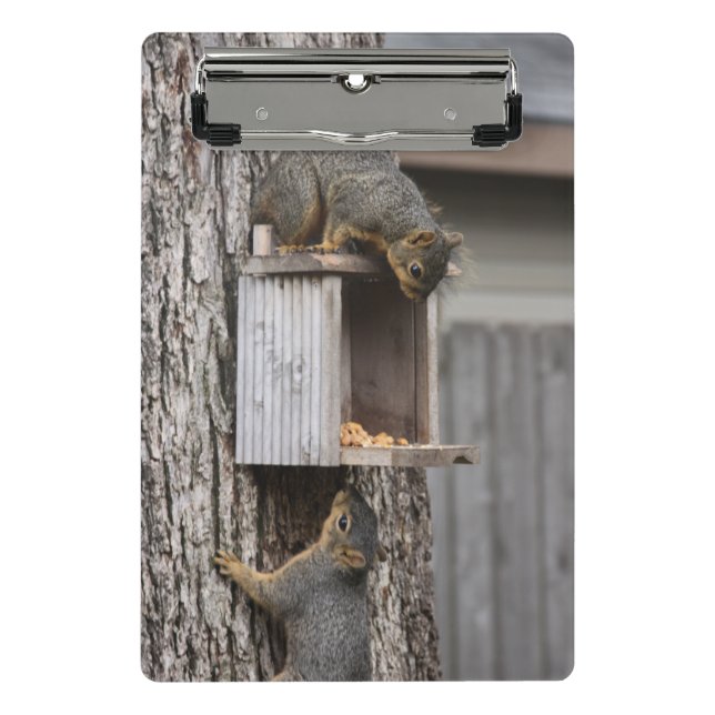 Mini Prancheta Clipboards de esquilo (Frente)