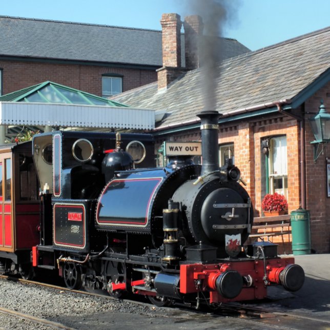 MINI PRANCHETA COMBOIOS DE VAPOR (Criador carregado)