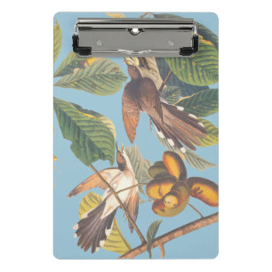 Mini Prancheta Cuco Cobrado Amarelo Audubon