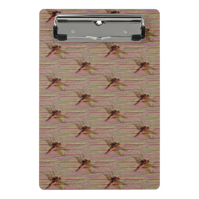 Mini Prancheta Dragonfly Colorful (Frente)