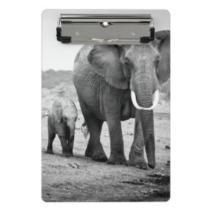 Mini Prancheta Elefante africano & vitelas Kenya, África