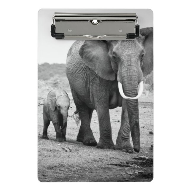 Mini Prancheta Elefante africano & vitelas | Kenya, África (Frente)