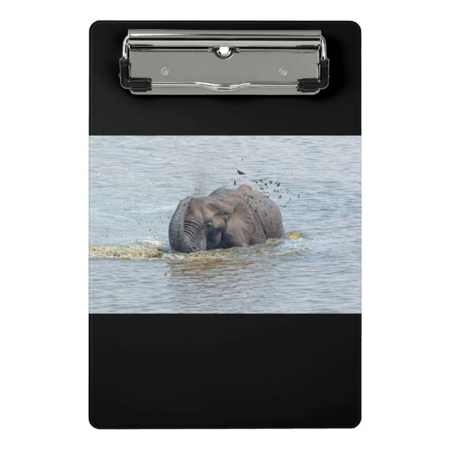 Mini Prancheta Elefante-balneário (Frente)