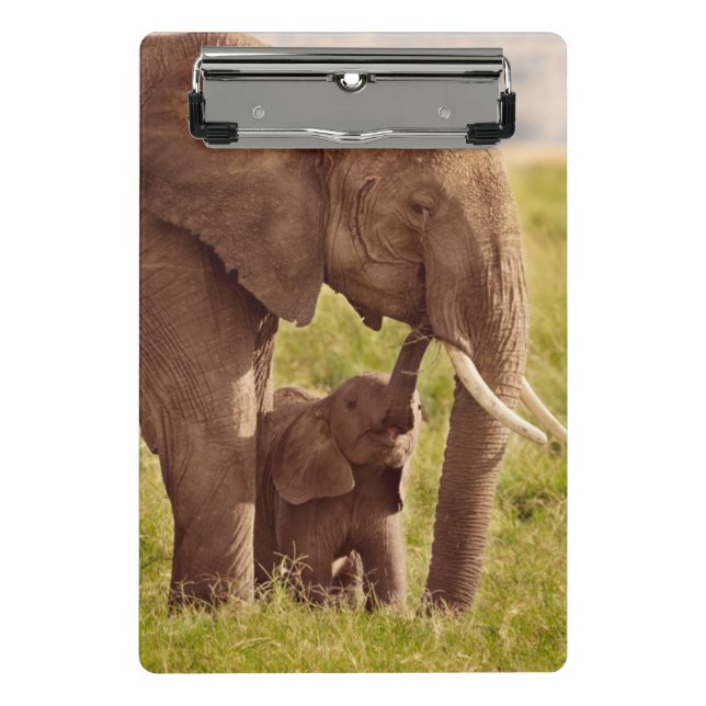 Mini Prancheta Elefante & bebê das imagens | de Getty (Frente)