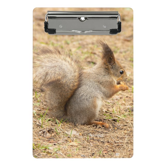 Mini Prancheta Esquilo bonito come uma foto de noz (Frente)