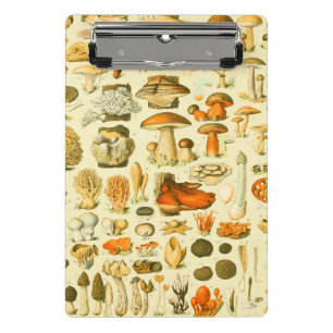 Mini Prancheta Ferramentas de Vintagem de Cogumelo Arte Botânica