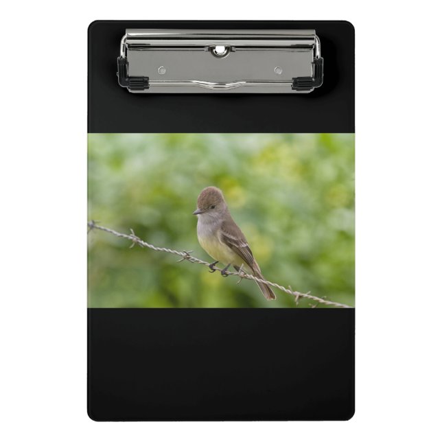 Mini Prancheta Flycatcher (Frente)