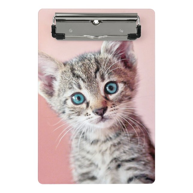 Mini Prancheta Gatinho bonito com olhos azuis (Frente)