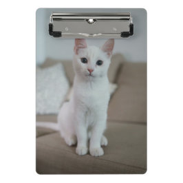 Mini Prancheta Gato branco | Zazzle_Growth.
