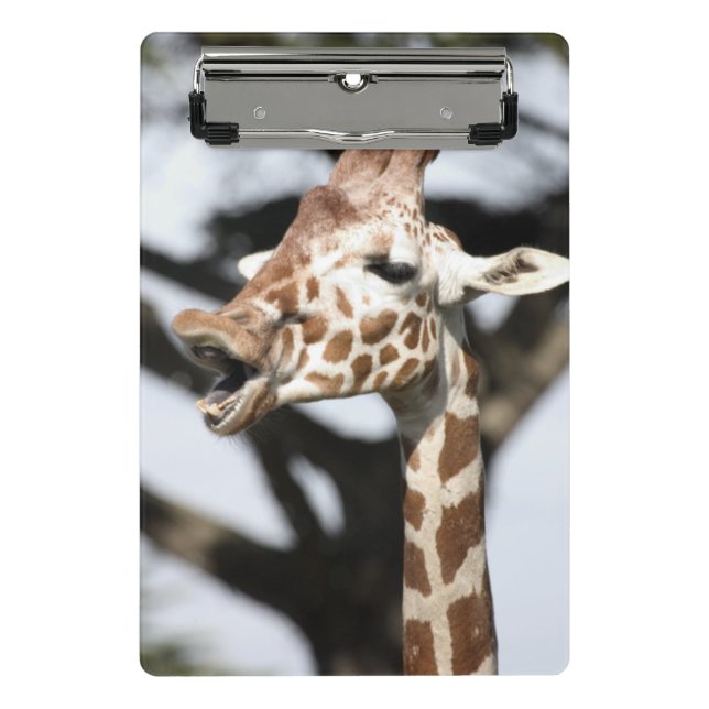 Mini Prancheta Girafa reticulada de cara engraçada, São Francisco (Frente)