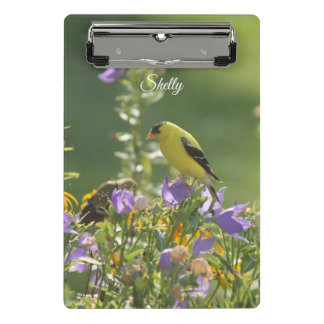 Mini Prancheta Goldfinch em uma Flor Harebell