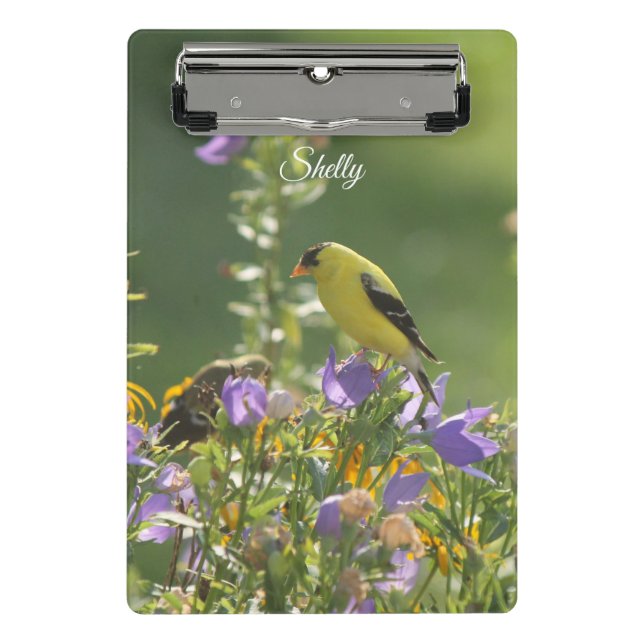 Mini Prancheta Goldfinch em uma Flor Harebell (Frente)