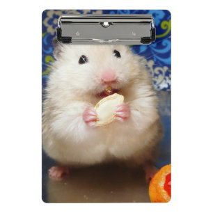 Mini Prancheta Hamster sírio macio Kokolinka que come uma sement