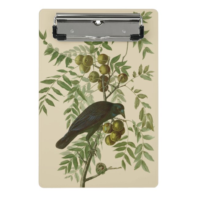 Mini Prancheta Impressão de Pássaro do Gracal-Púrpura de Audubon  (Frente)