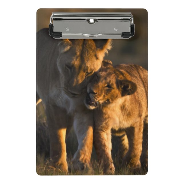 Mini Prancheta Leão Cub & mãe (Frente)
