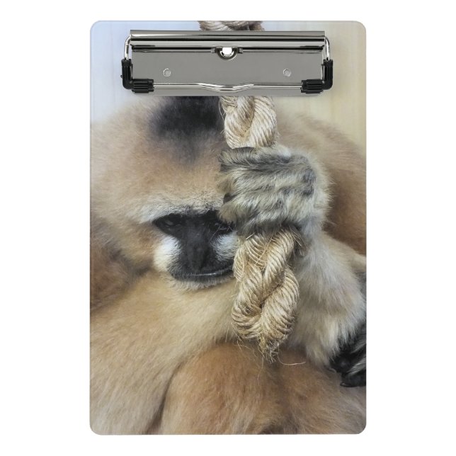 MINI PRANCHETA MACACOS (Frente)