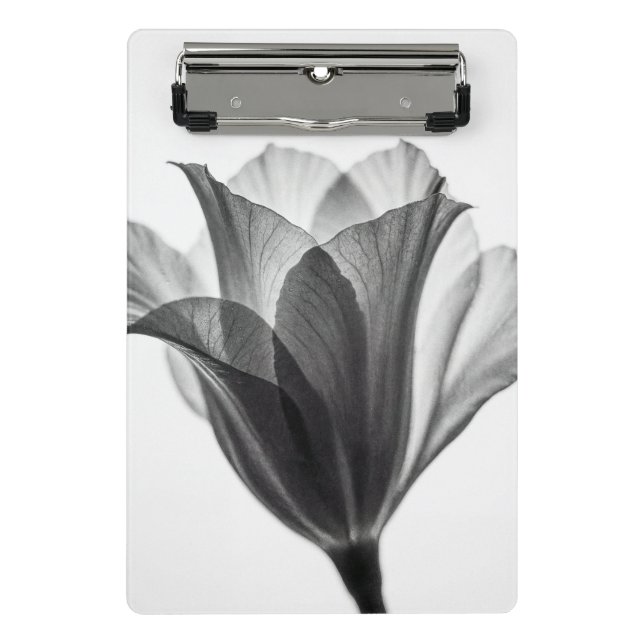 Mini Prancheta Monochrome botanical fine art photograph (Frente)