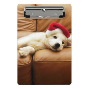 Mini Prancheta O filhote de cachorro veste um chapéu do Natal e 