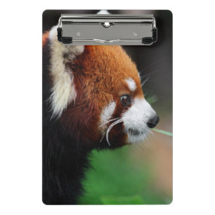 Mini Prancheta Panda vermelha