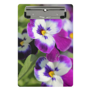 Mini Prancheta Pansy