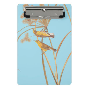 Mini Prancheta Pássaro Amarelo Audubon da Prairie Warbler