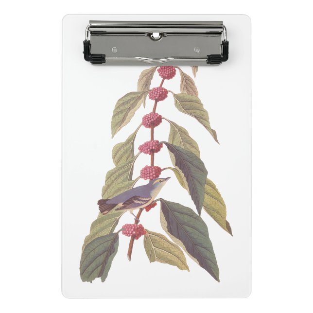 Mini Prancheta Pássaro Canino Verde Azul de Audubon (Frente)