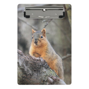 Mini Prancheta Pensivo