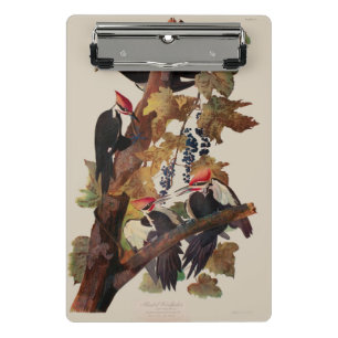 Mini Prancheta Pica-Pau-Grande de John James Audubon Impressão de