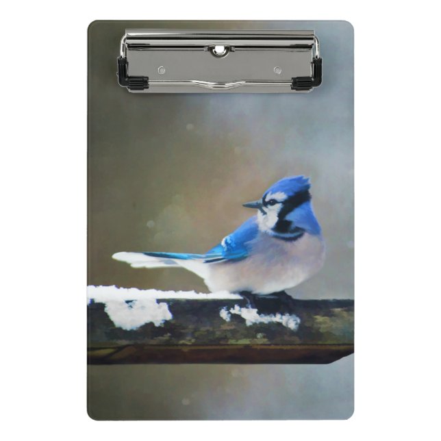Mini Prancheta Pintura Blue Jay - Arte Original para Pássaros (Frente)
