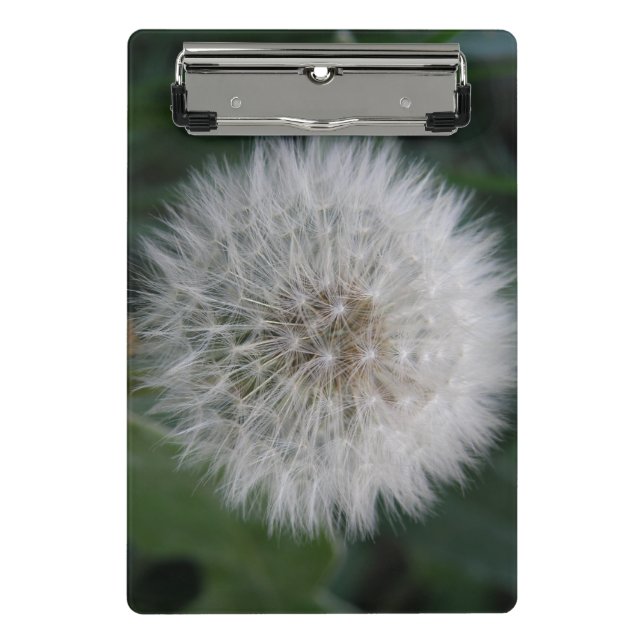 Mini Prancheta Placa de Transferência MiniFlor Dandelion Seeding (Frente)