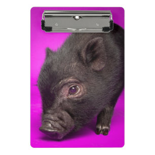 Mini Prancheta Porco preto do bebê