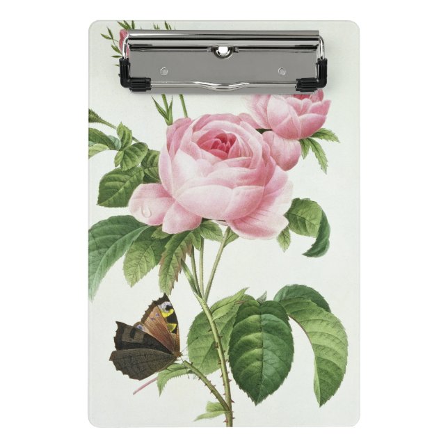 Mini Prancheta Rosa Centifolia (Frente)