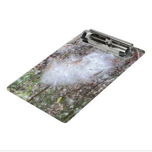 Mini Prancheta Sementes de Milkweed e Seda