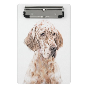 Mini Prancheta Setter Inglês Laranja Belton - Pintura de Cão