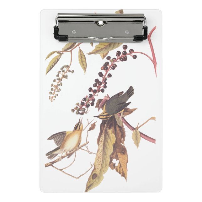 Mini Prancheta Songbird Audubon Warbler Comedor de Vermes (Frente)