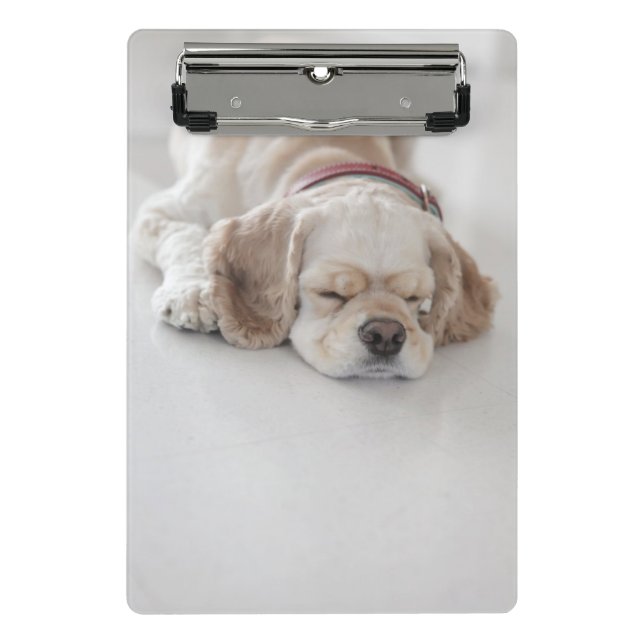 Mini Prancheta Sono do cão de cocker spaniel (Frente)