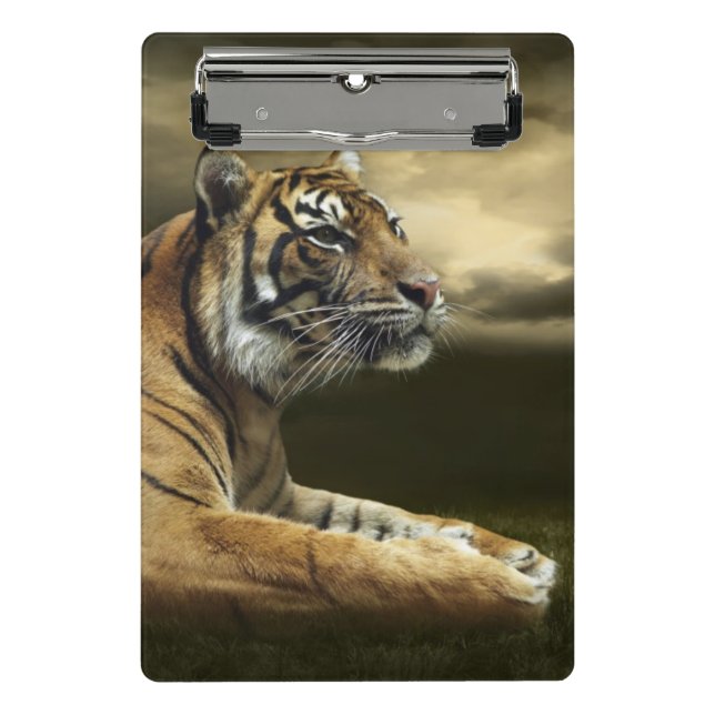Mini Prancheta Tigre que olha e que senta-se sob o céu dramático (Frente)