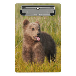 Mini Prancheta Urso engraçado do bebê das imagens de Getty
