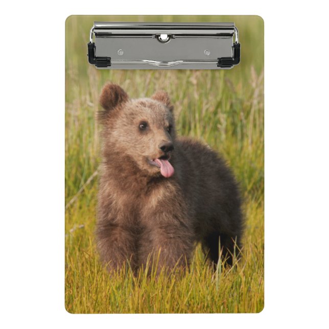 Mini Prancheta Urso engraçado do bebê das imagens | de Getty (Frente)
