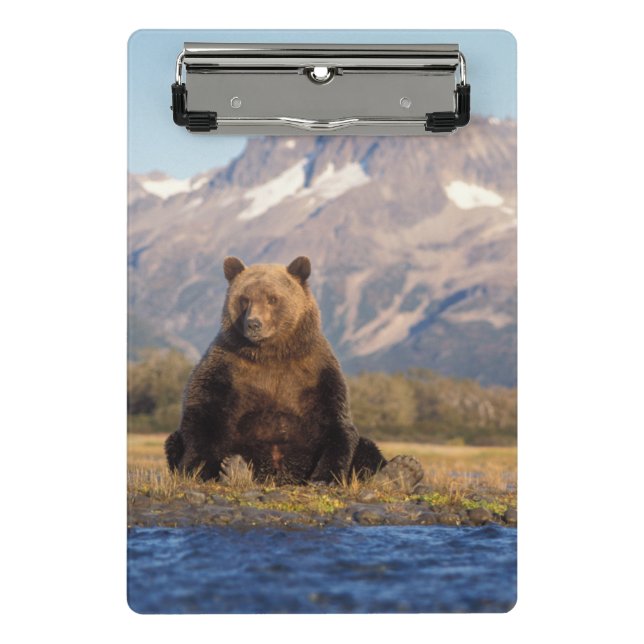 Mini Prancheta urso pardo, Ursus arctos, urso cinzento, Ursus (Frente)