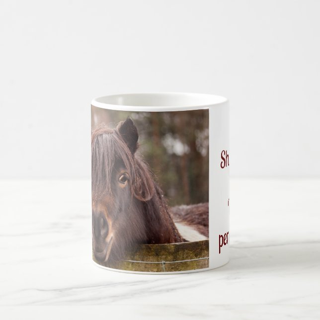 mini Shetland, caneca de grande personalidade (Centro)