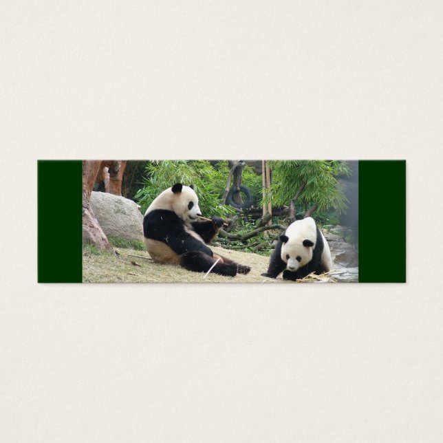Minifavorito do Panda gigante (Frente)