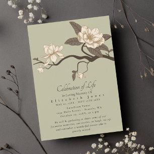 Mínima Celebração da Magolia da Vida Funeral