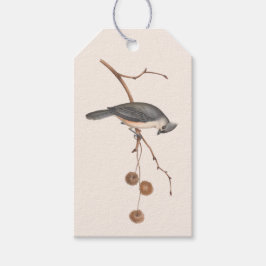 Mínimo rosa e Cinza Pássaro de inverno Etiqueta de