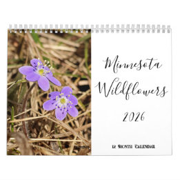 Minnesota Wildflower 2026 12 Meses Calendário de M