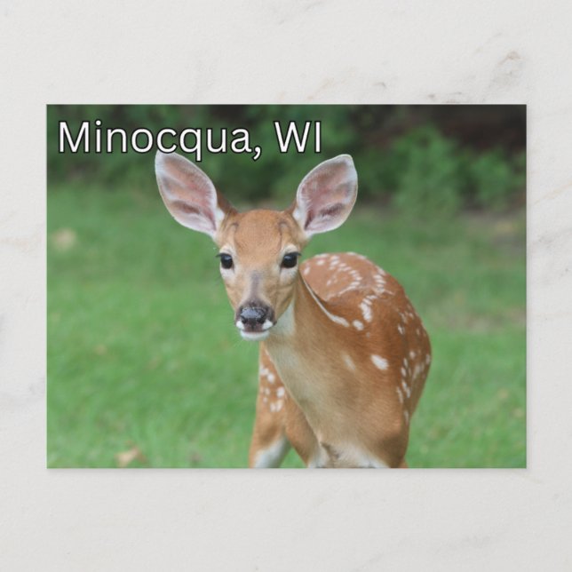 Minocqua Wisconsin Cartão postal Souvenir (Frente)