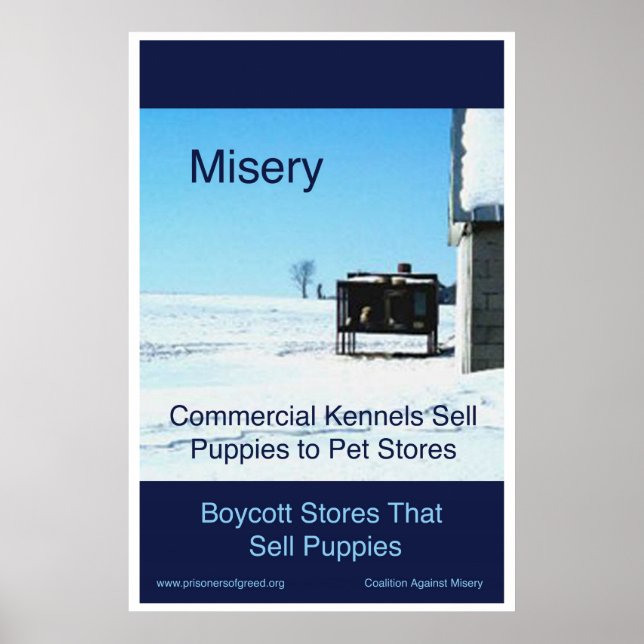 Misery Poster (Frente)