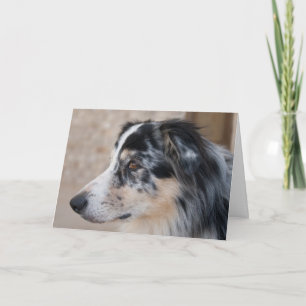 Missing You Australian Shepherd Modelo de Foto
