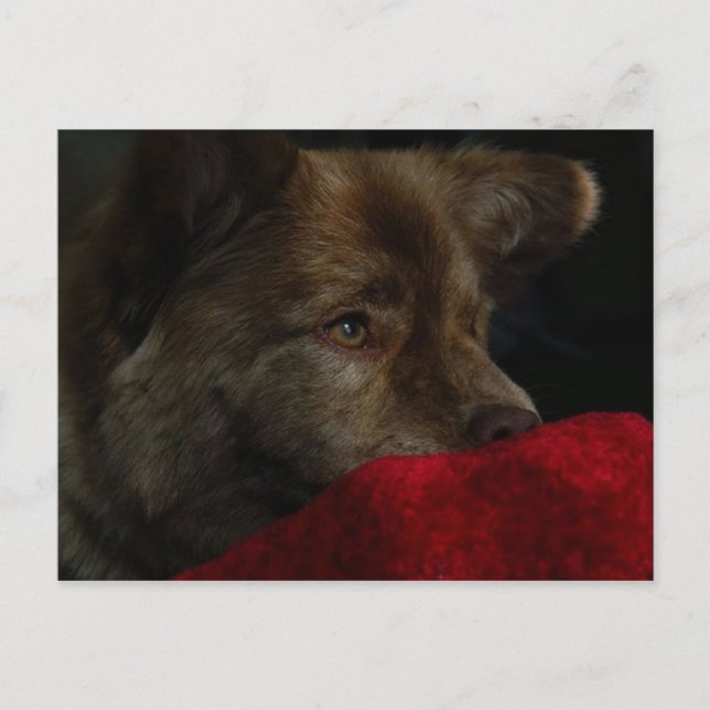 mistura da comida com cartão do coração (Frente)